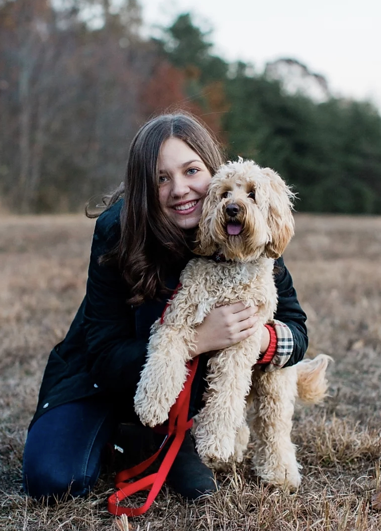 cornerstone australian labradoodles